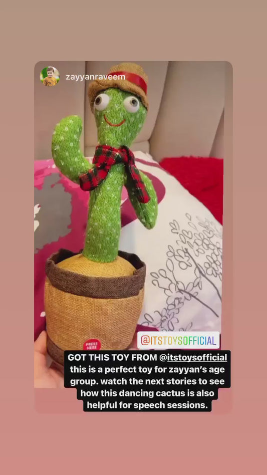 Cactus toy